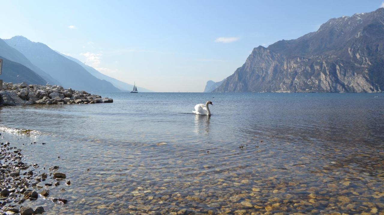 My Suite Home - Riva Del Garda Exteriör bild